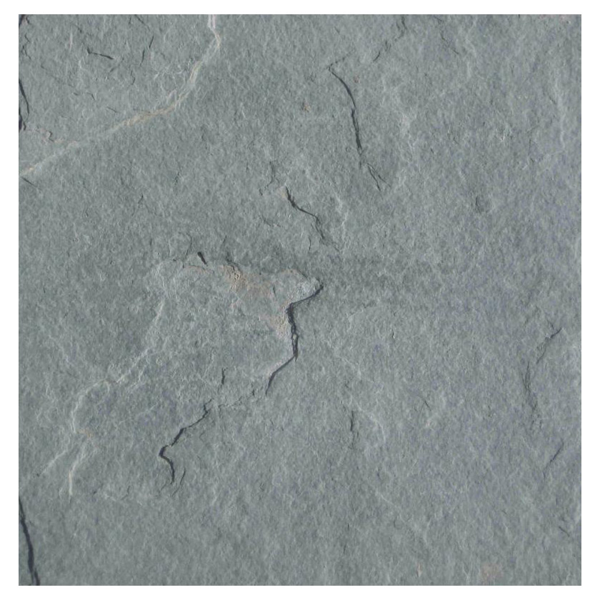Pennsylvania Bluestone Flagstone