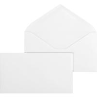 ENVELOPE,PLAIN,#6,WHI,500/BX