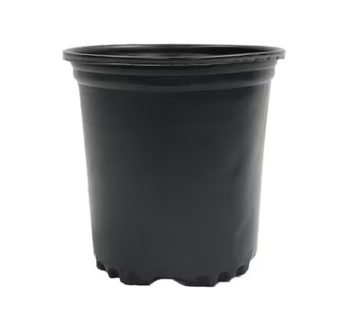 Viagrow 1/2 Gal. Plastic Nursery Pots