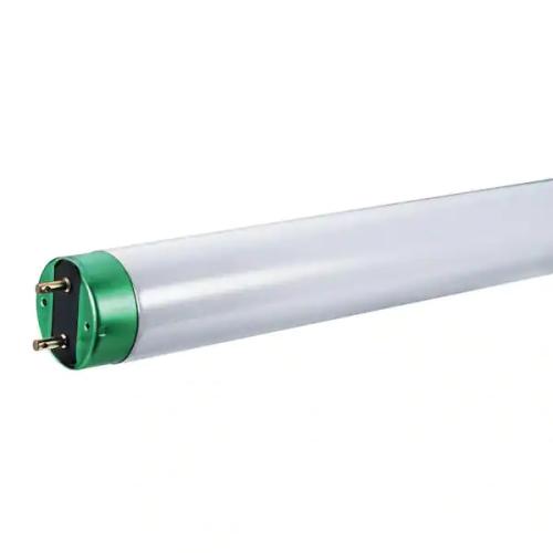 TUBE BULB FLUOR DAYLIGHT 32W (6500K) 48"