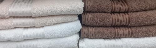 GOLD COLLECTION WELLS 100% COTTON TOWEL HAND ASST