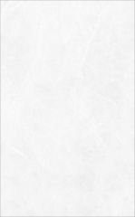 PALLADIUM BIANCO 10PCS 11.11SQFT 10X16