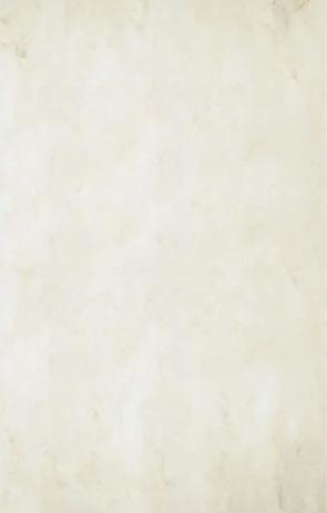 AGATA BONE WALL 10PCS 16.5SQ 13.25*17.75
