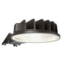 AREA LIGHT 50W 5000K 120V BZ
