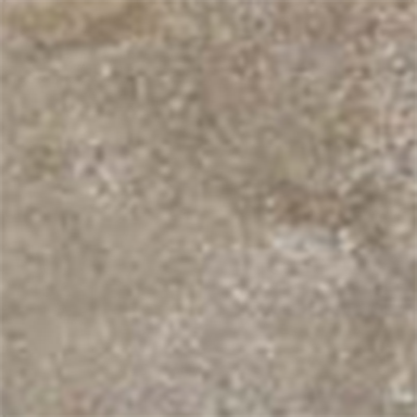 PHIONA FOREST 10PC 11.11