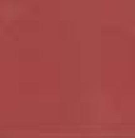 VIOLETTE BURDEOS 10PCS 10X16 11.11 SQFT
