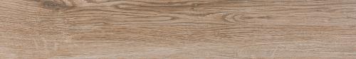 Naso Noce – 7 Pieces, 17.80 sq. ft. (7.75" x 47.25")
