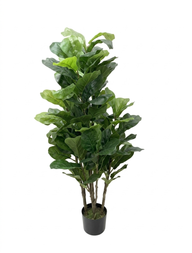 Green Pot Plant