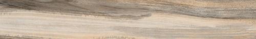 TASMANIA DRIFT 6PCS 15.34 SQFT 7.75*47.5
