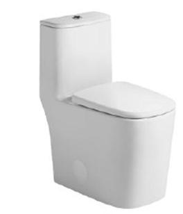 TOILET ONE PEICE DUAL FLUSH