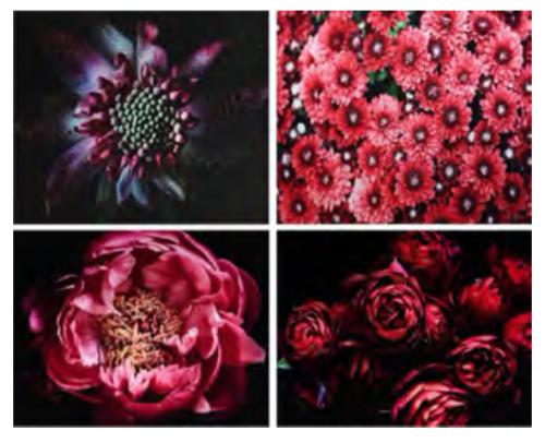 CANVAS WILD BLOOMS 16"X20" LACQUERED EMBELLISHED