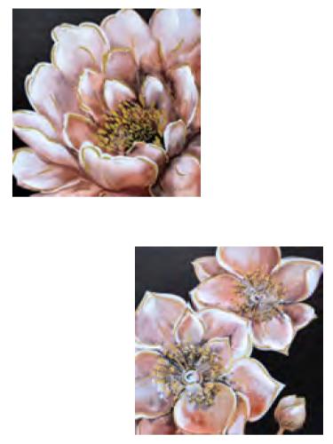 Flowertopia Embellished Canvas (Assorted)
