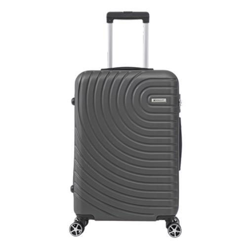 Large Grey Luggage