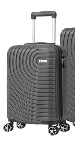Small Grey Luggage