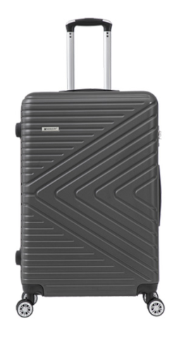 Large Grey Luggage