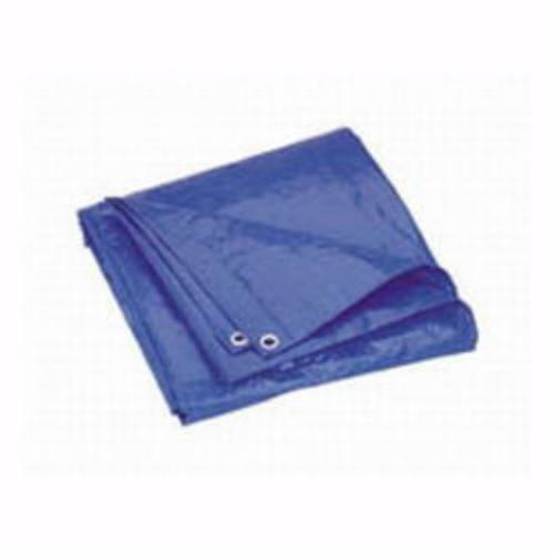 TARP 20' X 30' BLUE
