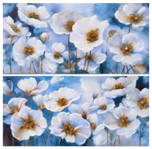 CANVAS 2PC POPPY DANCE 12"X24" HAND EMBELLISED SET