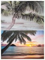 Pink Napili Beach Crystal Canvas (Assorted)