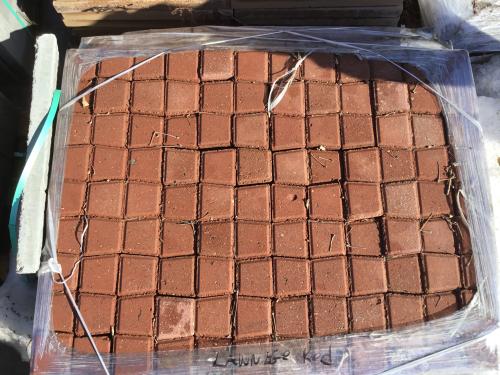 LAWN EDGER SELECT EDGE RED