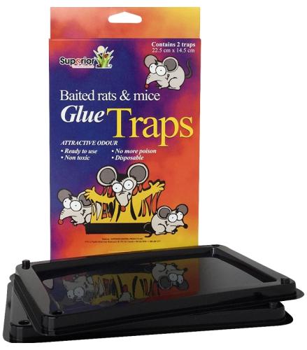 CRD/2 RAT GLUE TRAP
