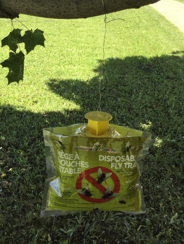 DISPOSABLE FLY TRAP BAG