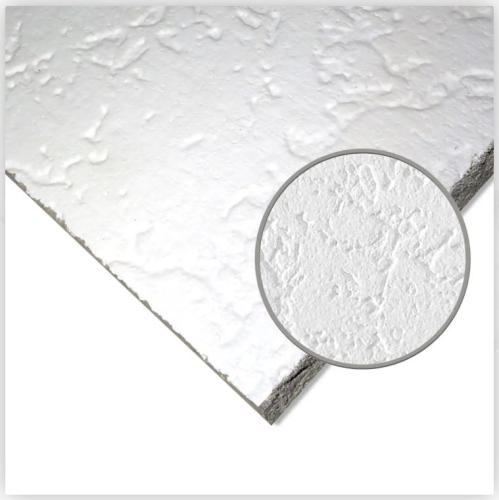 CTN 24 x 48 x 1/2 GRENOBLE SQ EDGE WHT CEILING PANEL (8) 64sqft ARM297