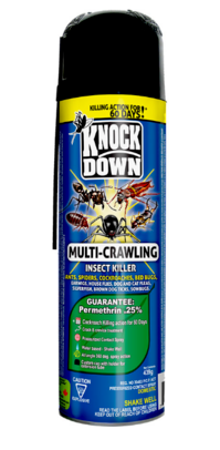 KNOCKDOWN COCKROACH SPRAY