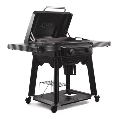 TRAEGER FLATROCK 2 ZONE