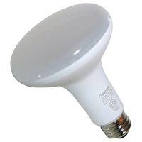 BULB LIGHT LED 10YR BR30 60W