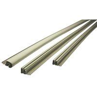 WEATHERSTRIP DOOR 3X81FT BEIGE