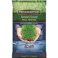 SEED/TALL FESCUE BLEND 3#