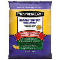 GRASS SEED SPOT REPAIR 1LB