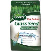 2.4LB DENSE SHADE SEED