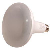 BULB LED BR40 DIM 5K 13W/85W