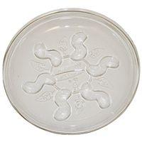 SAUCER PLUS HD PLANT 6IN