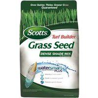 GRASS SEED TALL FESCUE 3LB