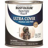 PAINT ACRYLIC GLOSS DK GRAY QT
