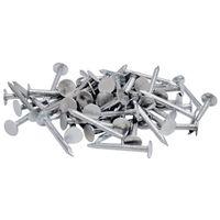 NAIL ROOFING EG 2-1/2IN 1LB