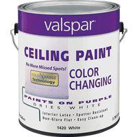 PAINT INTR COLR CHANGE CEIL GA