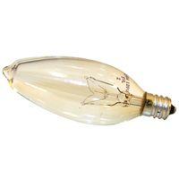 BULB LT CHNDLR 25W 120V CLR