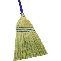 BROOM NATURAL FIBER