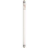 BULB FLUOR CWHT MNI 12IN T5 8W