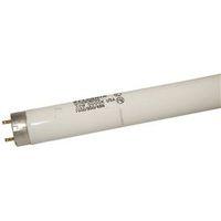BULB LT 32WT8 48IN 5000K 90CRI