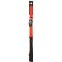LEASH DOG 1IN 6FT BLAZEORANGE