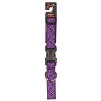 COLLAR DOG 1IN 12-20 JELLYROLL