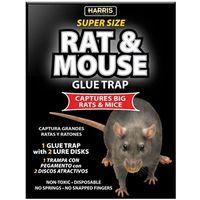BLACK RAT GLUE TRAP