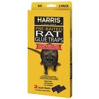 TRAP GLUE RAT PLASTIC 2PK