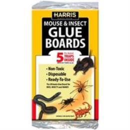 BOARD GLUE PRE- BAITED 5 PK