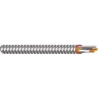CABLE ARMORED STEEL 12/2 25FT