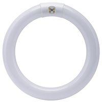 BULB CIRC FLUOR T9 6500K 22W